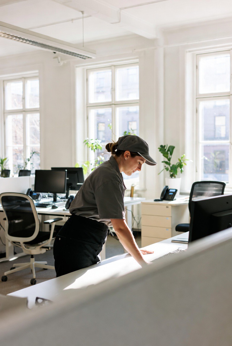 EcoTidy professional cleaning